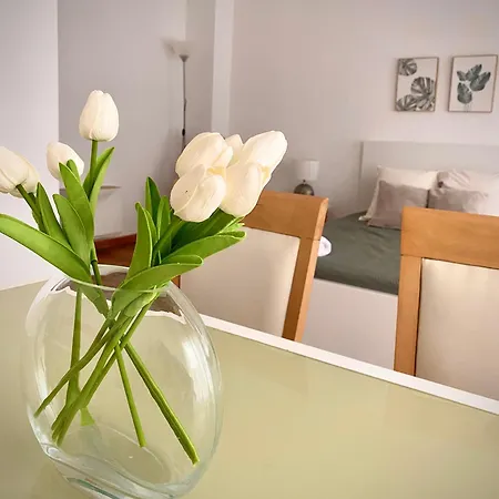 Daire Tierra Valensiya